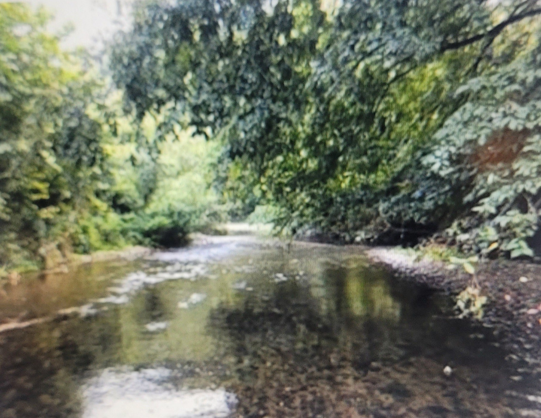 5641 New Highway 7 Santa Fe, TN 38482 - Photo 11 of 20 a view of a lake view