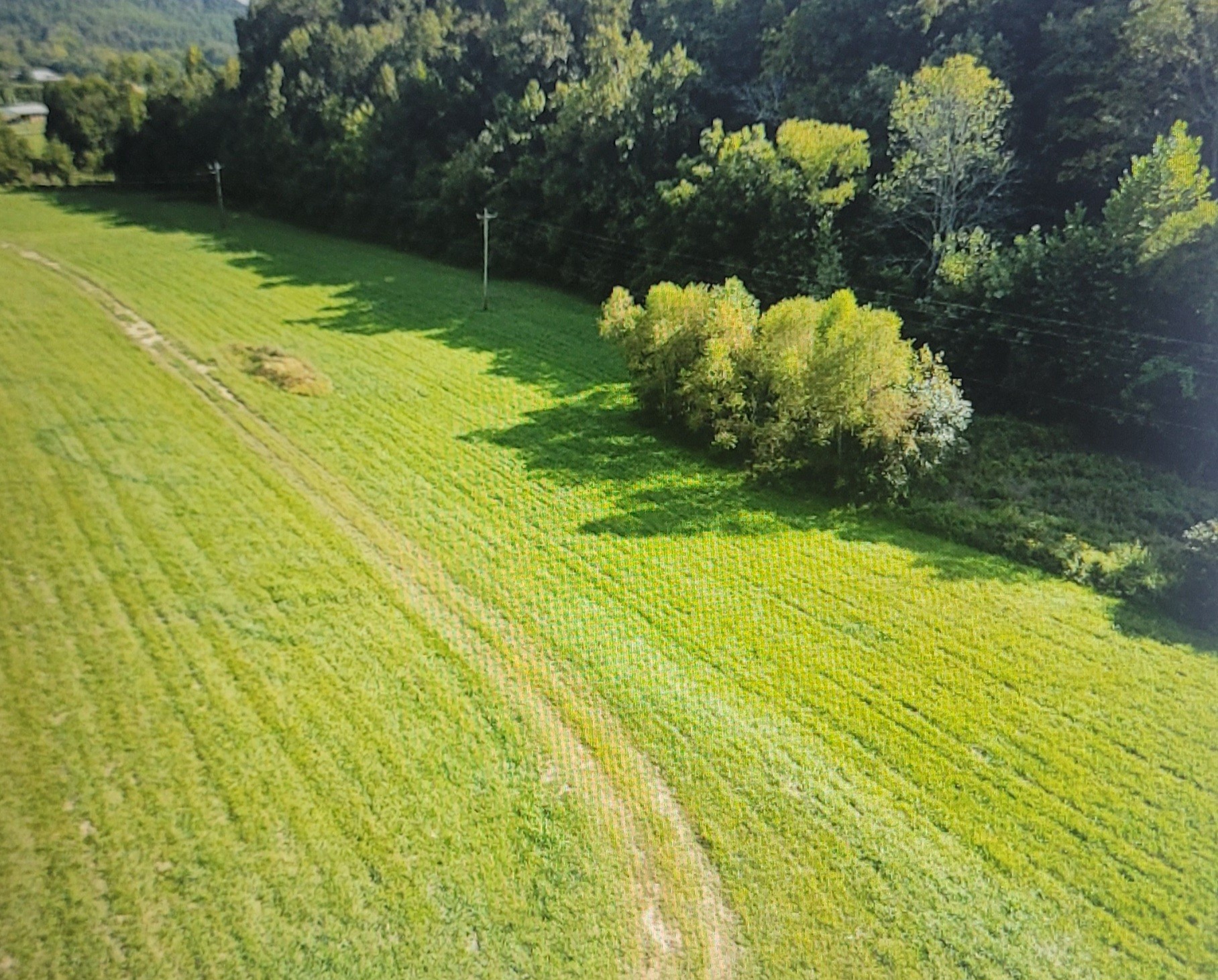 5641 New Highway 7 Santa Fe, TN 38482 - Photo 15 of 20 a view of swimming pool from a yard