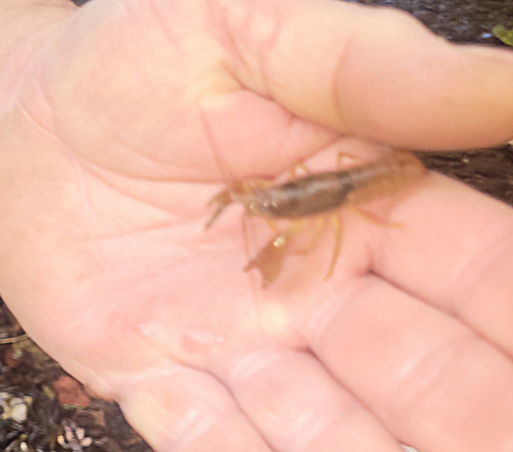 5641 New Highway 7 Santa Fe, TN 38482 - Photo 20 of 20 a view of a sky view
