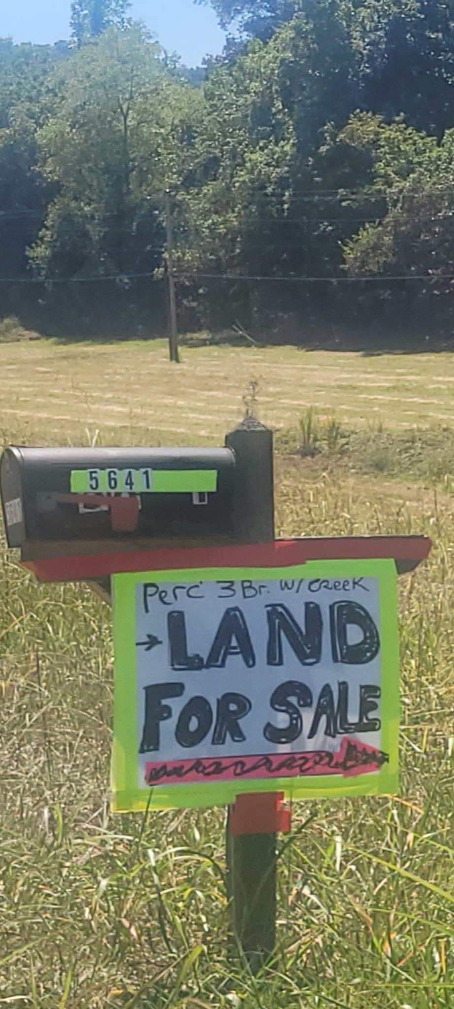 5641 New Highway 7 Santa Fe, TN 38482 - Photo 3 of 20 a view of a pool with an outdoor space