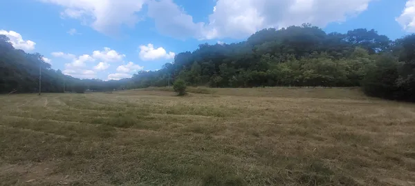 a view of a yard