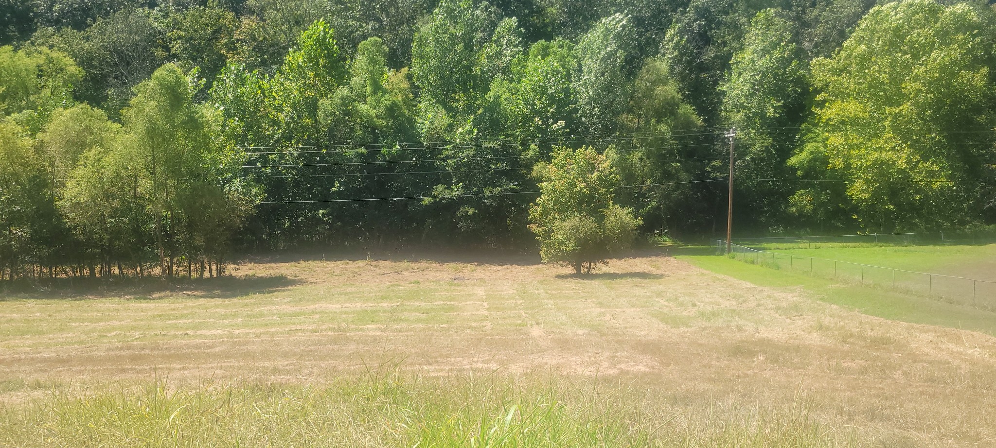 5641 New Highway 7 Santa Fe, TN 38482 - Photo 5 of 20 a view of a yard
