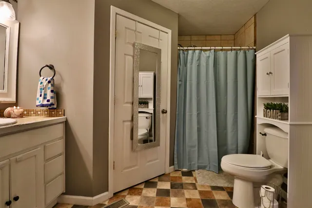 a bathroom with a sink a toilet and shower