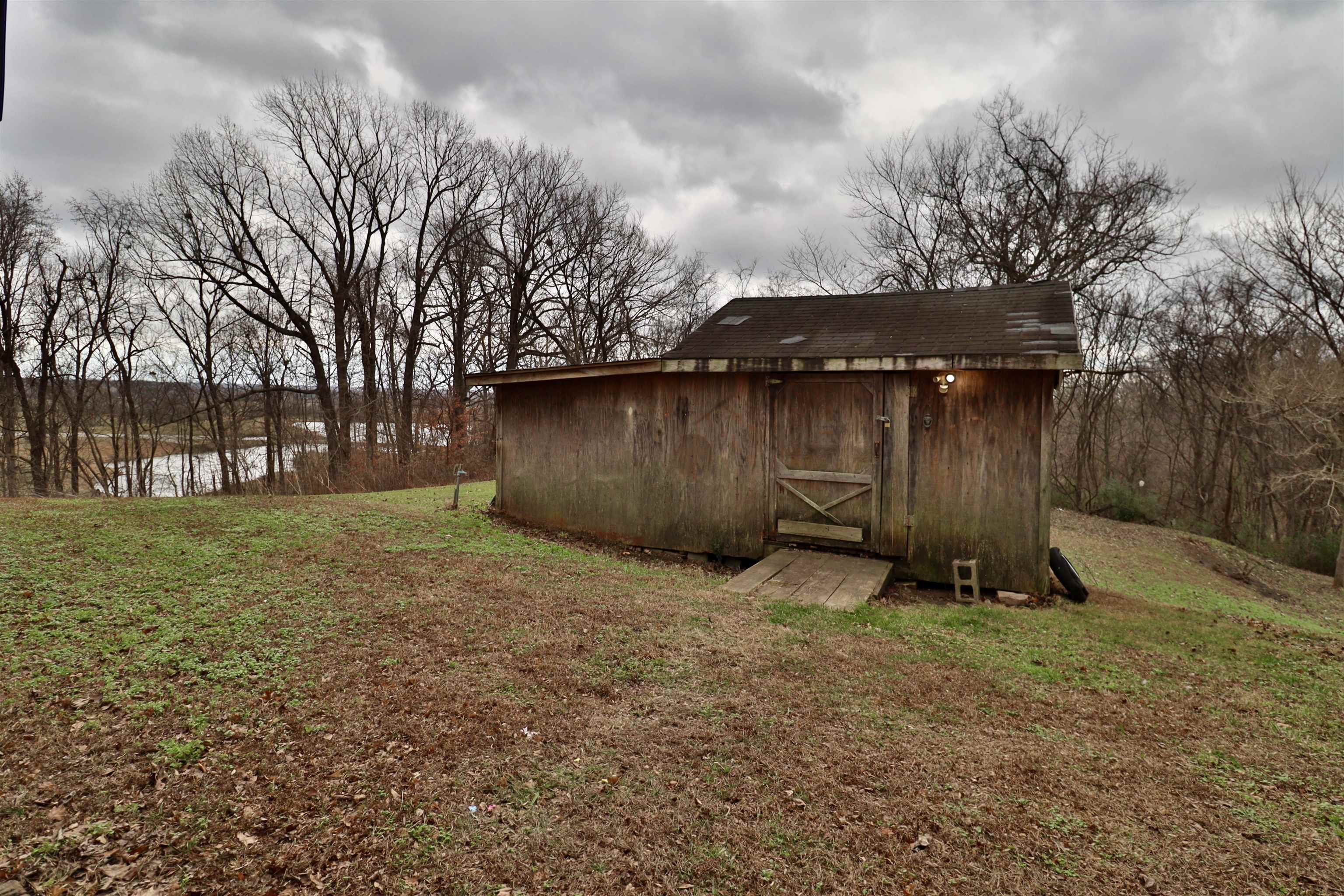 117 Charlie Ennis Road Dyersburg, TN 38024 - Photo 26 of 40 a backyard of a house with lots of green space