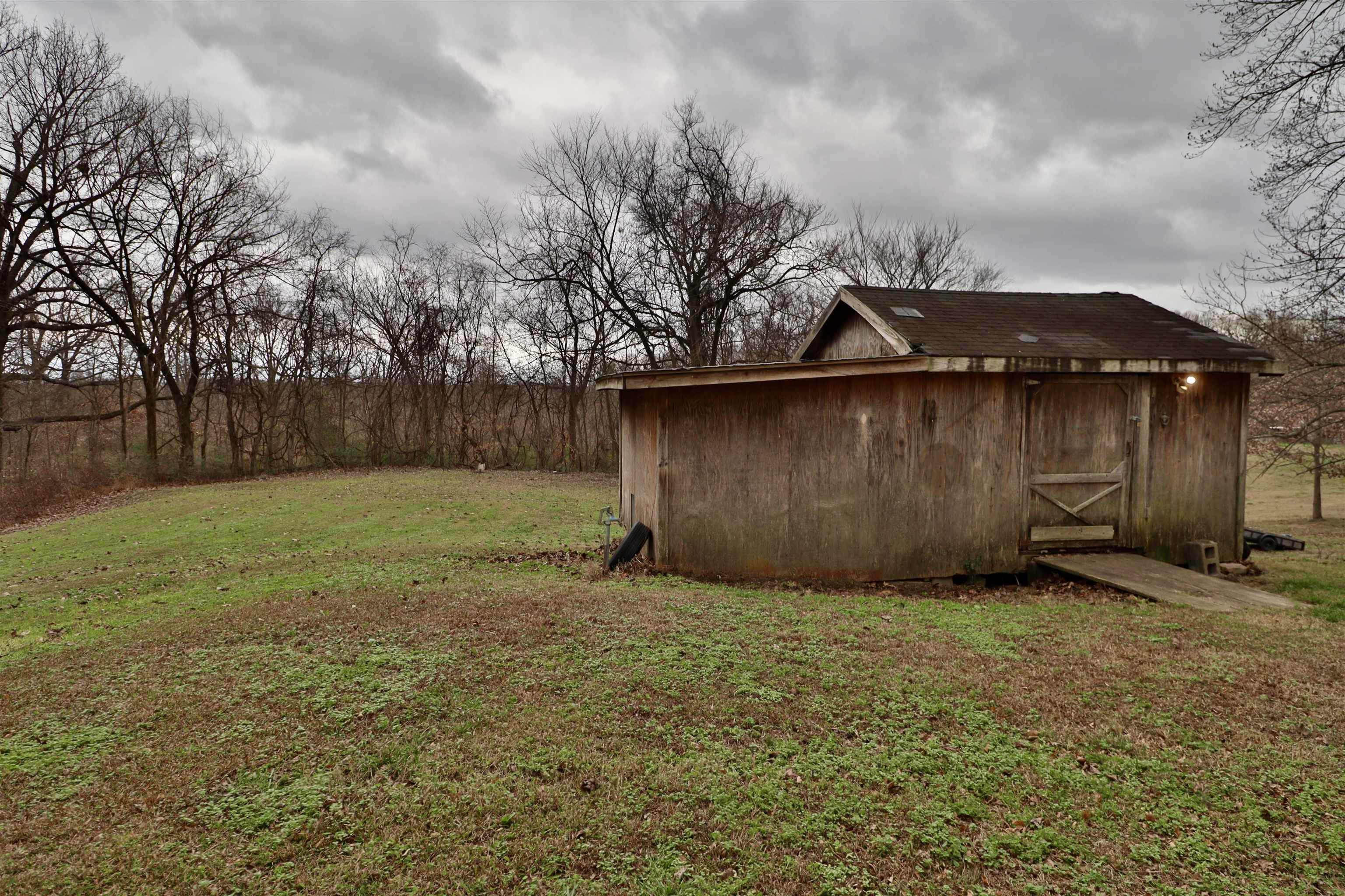 117 Charlie Ennis Road Dyersburg, TN 38024 - Photo 27 of 40 a view of backyard with green space