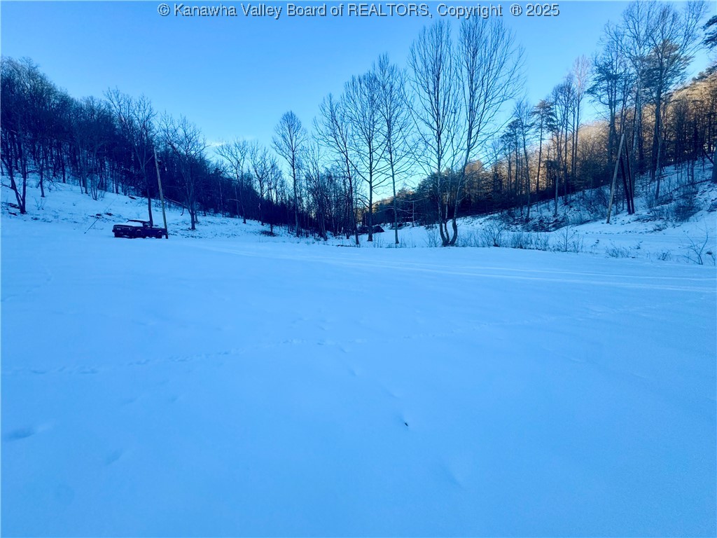 1311 Board Run Road Sandyville, WV 25275 - Photo 24 of 26 Gallery Image 24