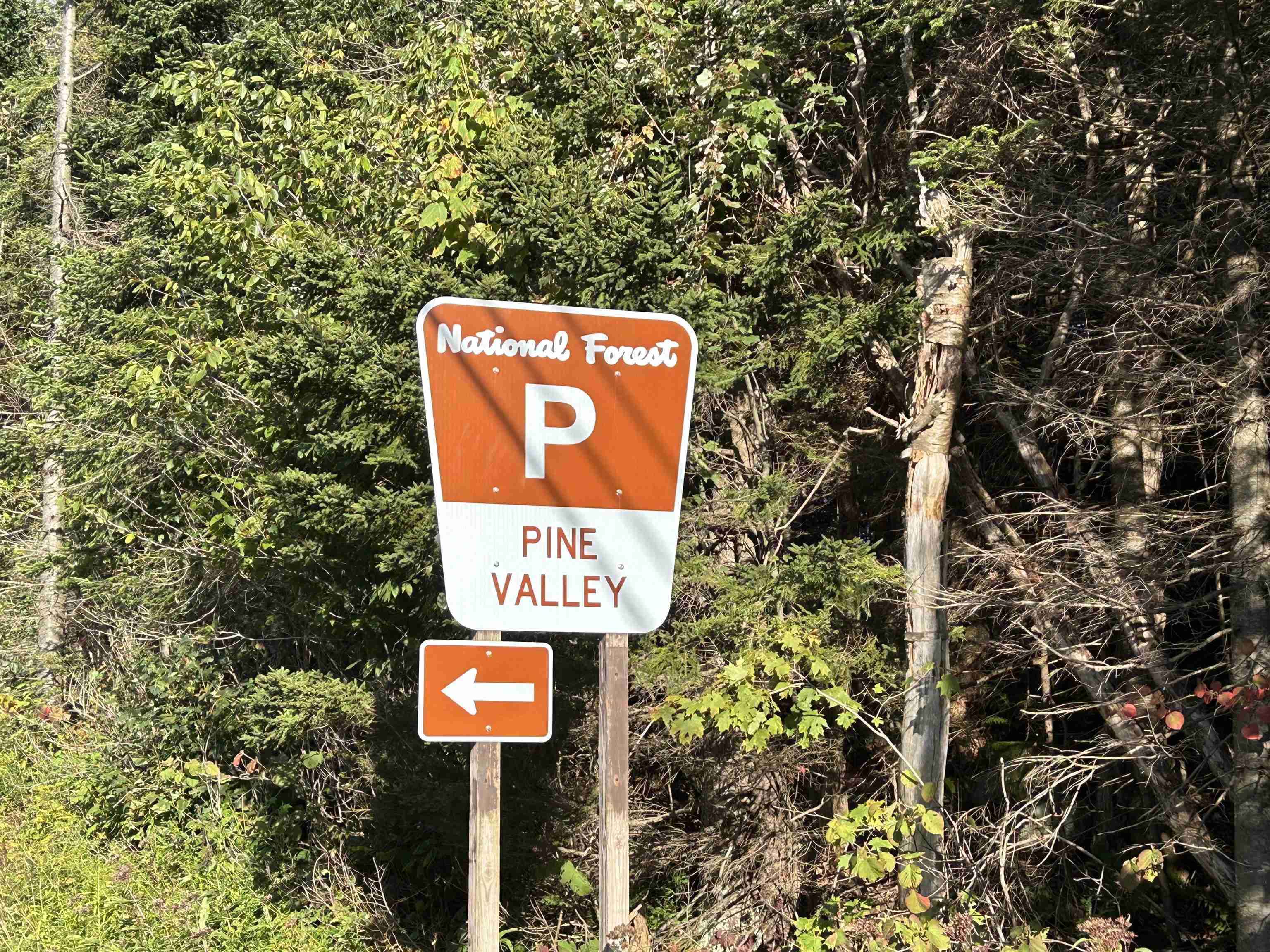 6923 Highway 9 Woodford, VT 05201 - Photo 28 of 34