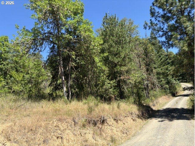 0 Mountain View Road Sutherlin, OR 97479 - Photo 6 of 9