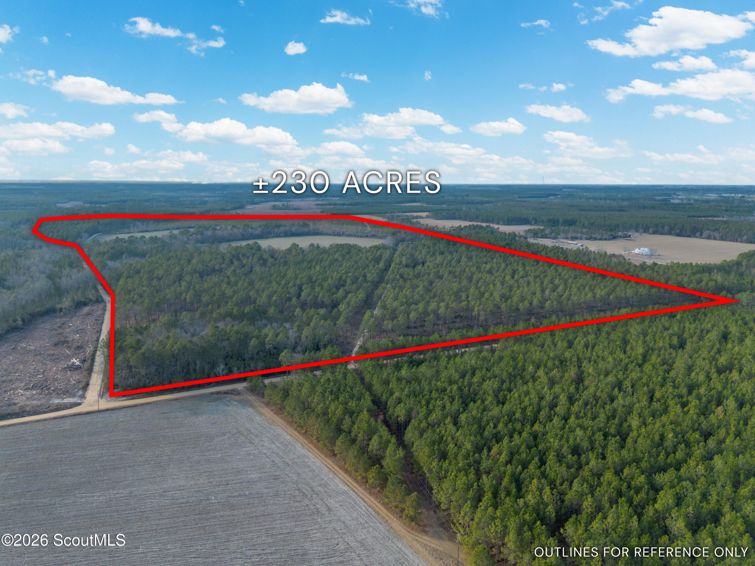 0 Reddish Road Odum, GA 31555 - Photo 3 of 46 230-AC-REDDISH-ODUM-2