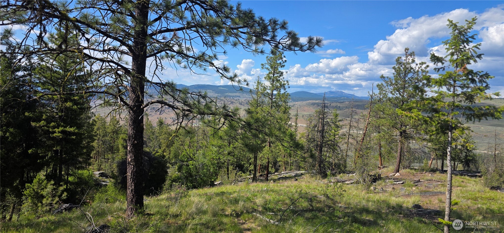 385 West Corral Road Oroville, WA 98844 - Photo 17 of 29