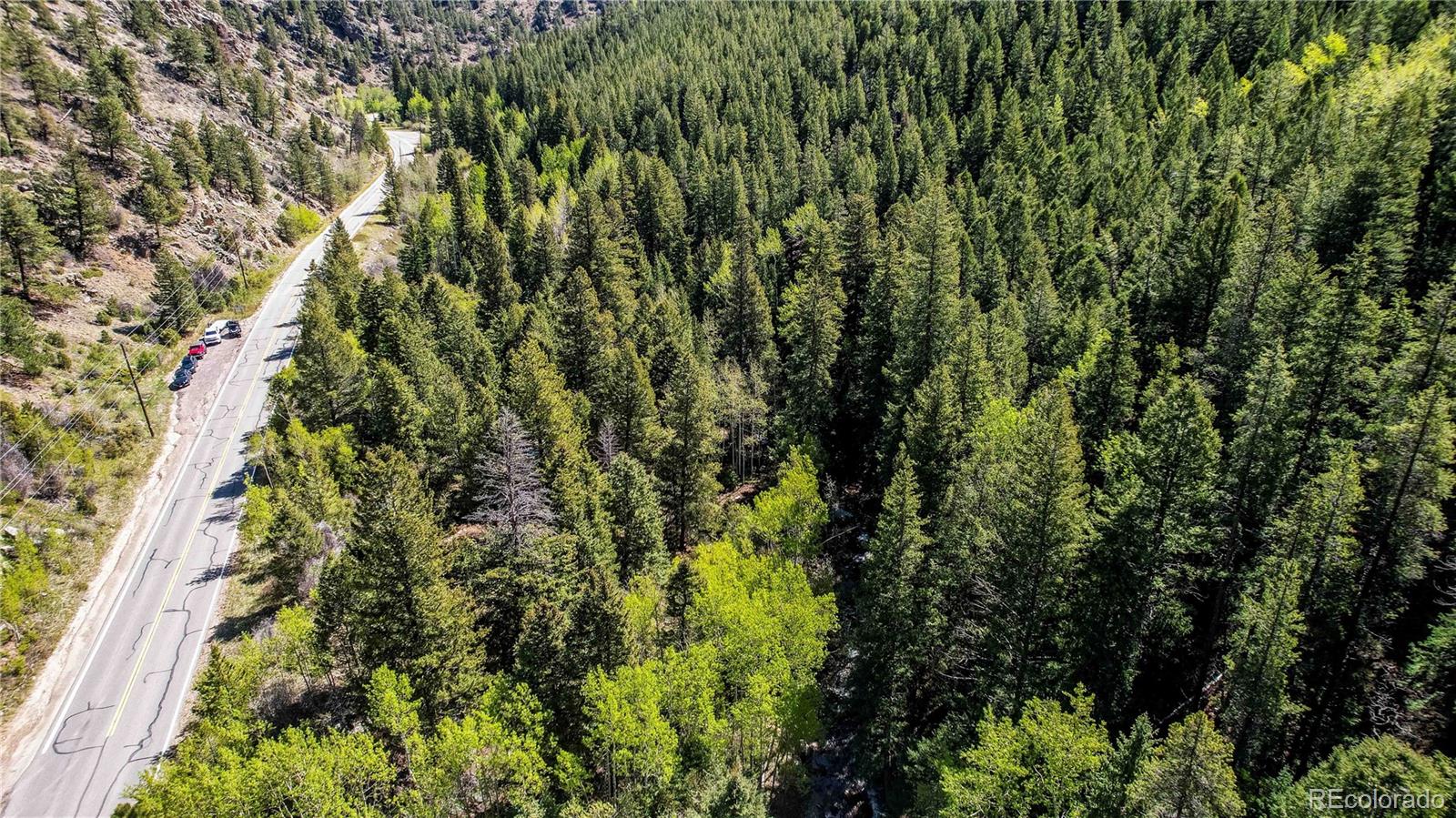 103 Cascade Creek Road Idaho Springs, CO 80452 - Photo 29 of 40 a view of a lush green forest