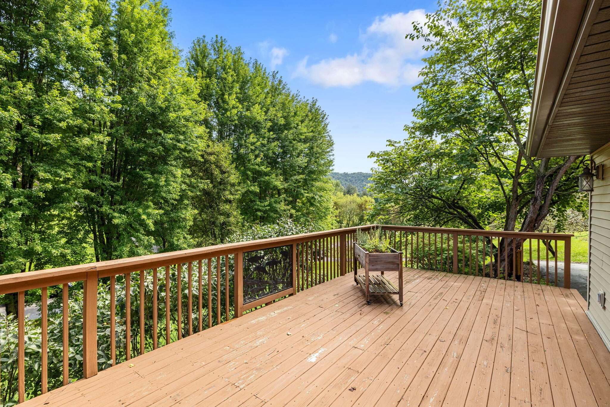 N251 H Werner Road Shelby, WI 54658 - Photo 25 of 32 Front Deck