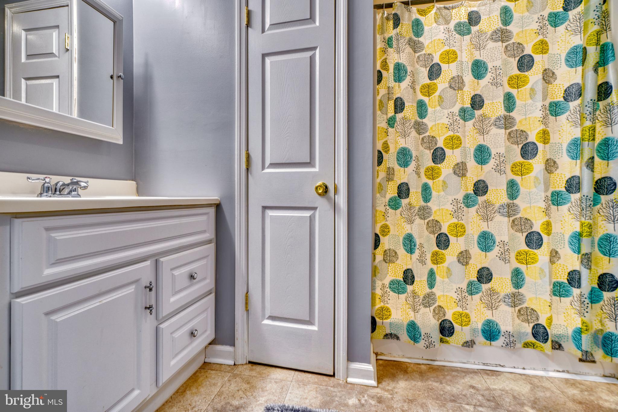 5030 Finsbury Road Rosedale, MD 21237 - Photo 45 of 49 a view of shower and closet
