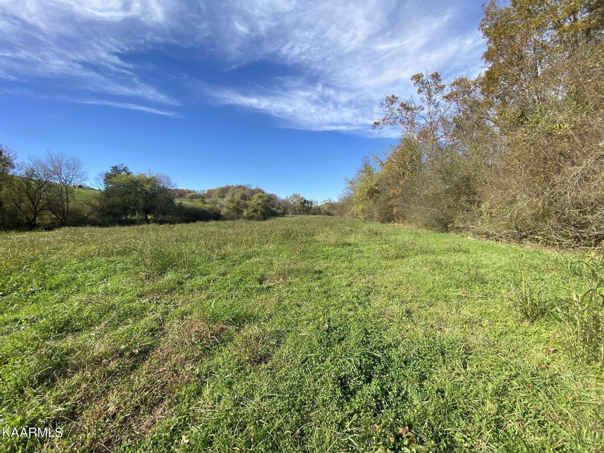 311 Ross Cemetery Road Rocky Top, TN 37769 - Photo 20 of 59 IMG_2407
