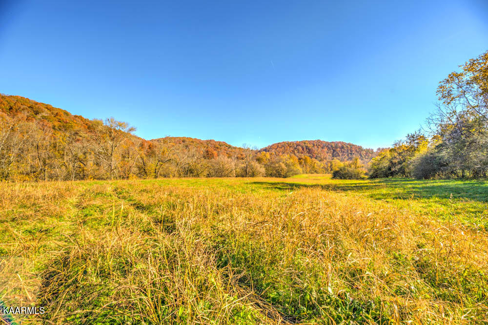 311 Ross Cemetery Road Rocky Top, TN 37769 - Photo 35 of 59 DSC_0028_29_30_31_32