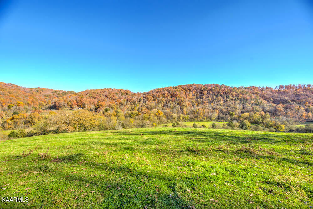 311 Ross Cemetery Road Rocky Top, TN 37769 - Photo 37 of 59 DSC_0013_4_5_6_7