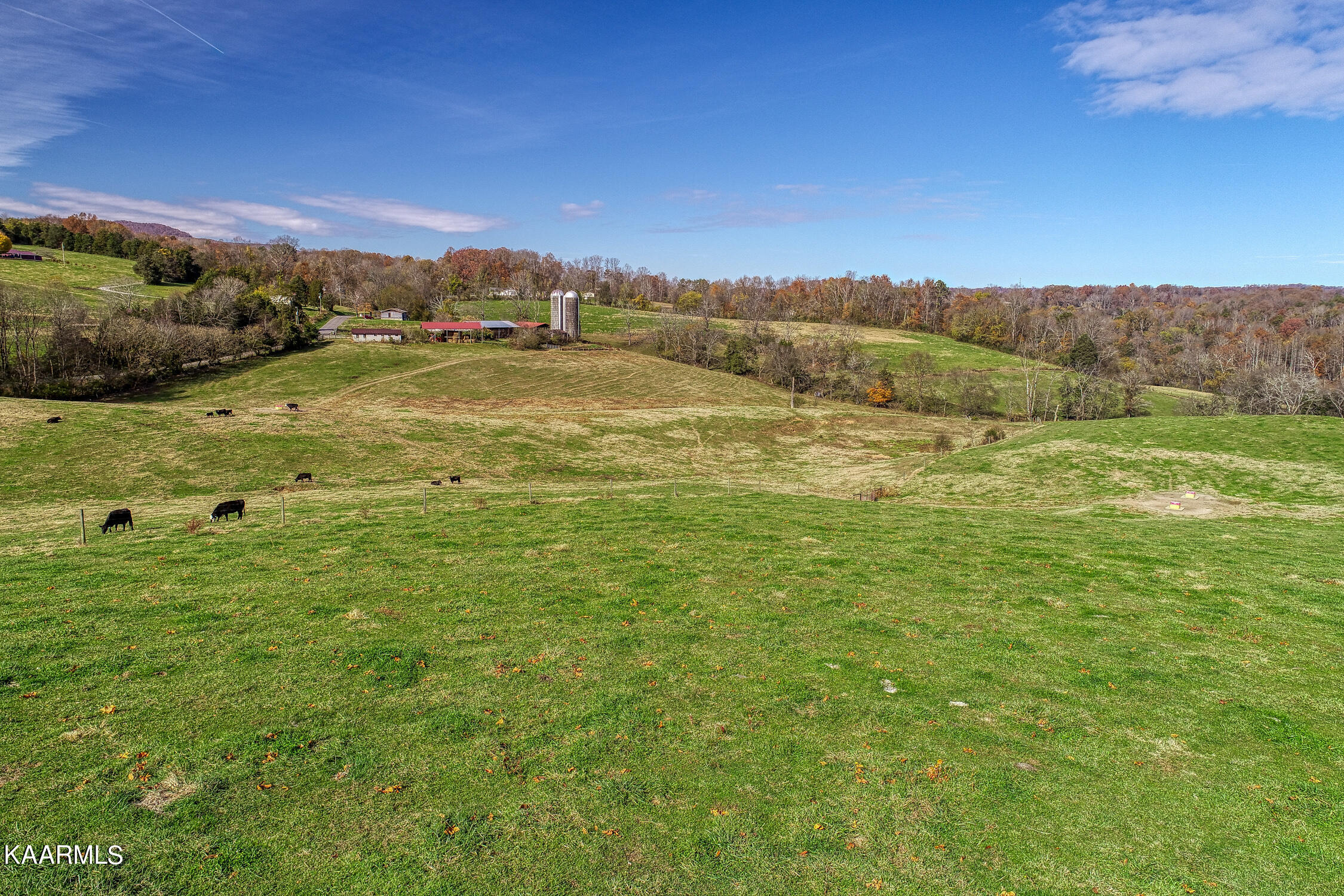 311 Ross Cemetery Road Rocky Top, TN 37769 - Photo 51 of 59 D. Hill. Rocky Top. TN MLSa (22 of 46)