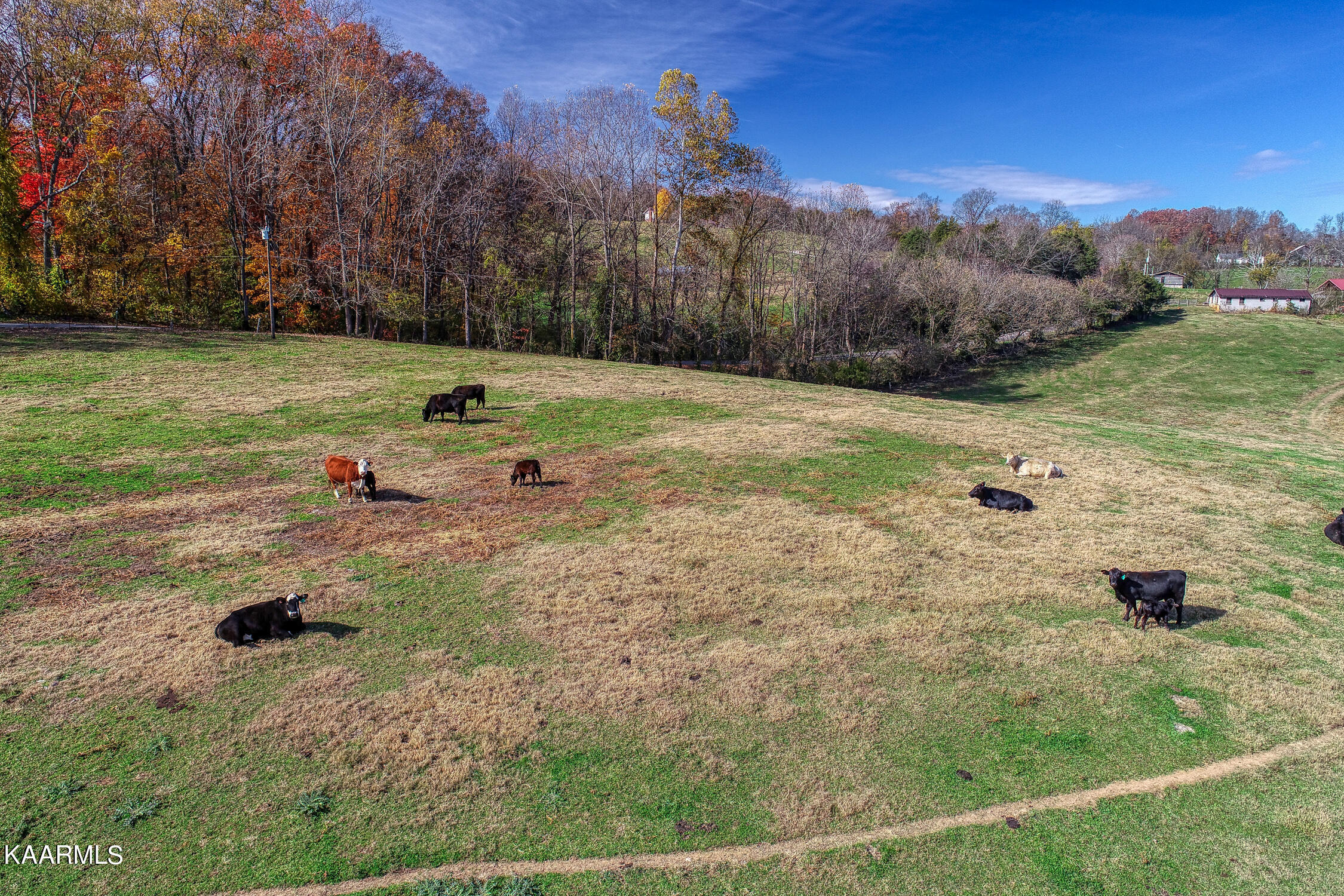 311 Ross Cemetery Road Rocky Top, TN 37769 - Photo 53 of 59 D. Hill. Rocky Top. TN MLSa (26 of 46)