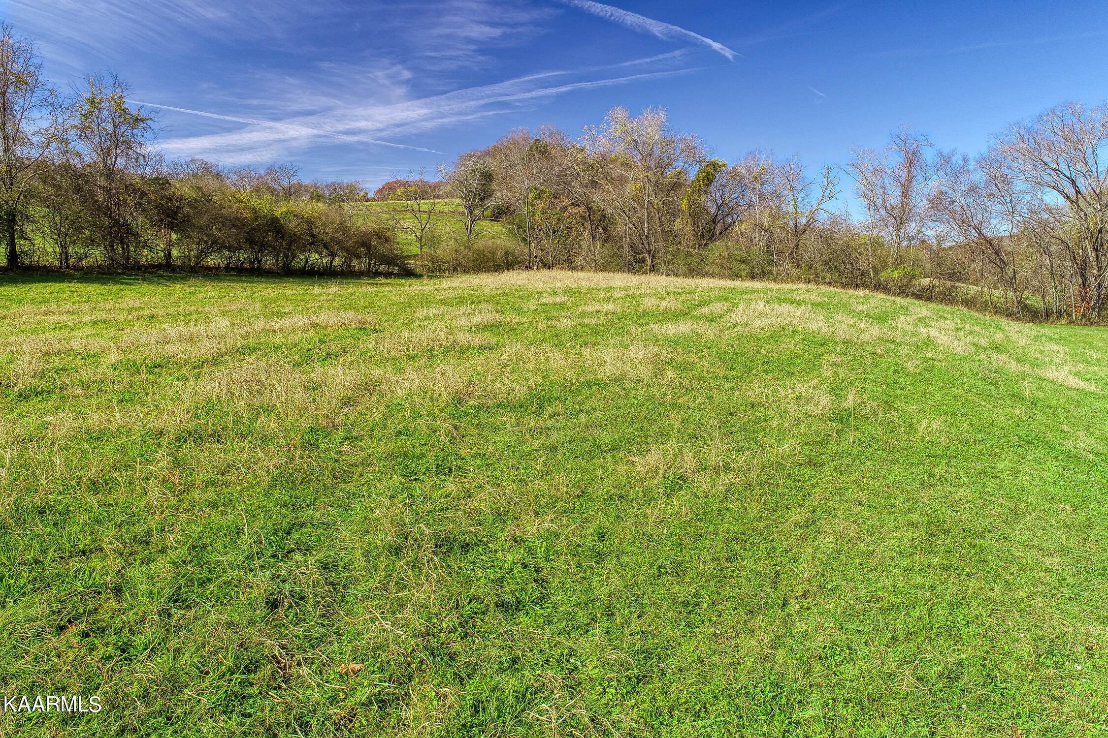 311 Ross Cemetery Road Rocky Top, TN 37769 - Photo 56 of 59 D. Hill. Rocky Top. TN MLSa (30 of 46)