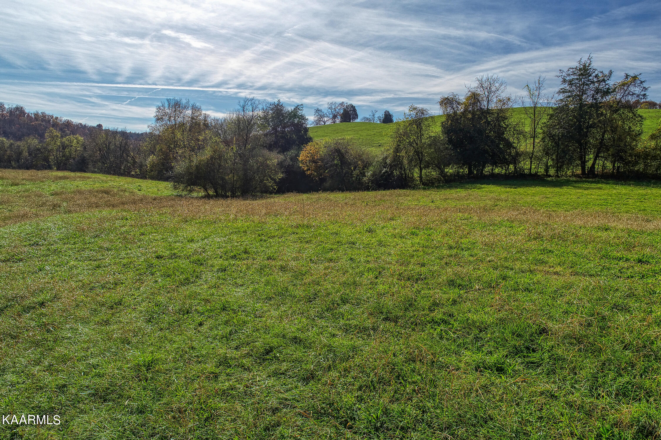 311 Ross Cemetery Road Rocky Top, TN 37769 - Photo 57 of 59 D. Hill. Rocky Top. TN MLSa (31 of 46)