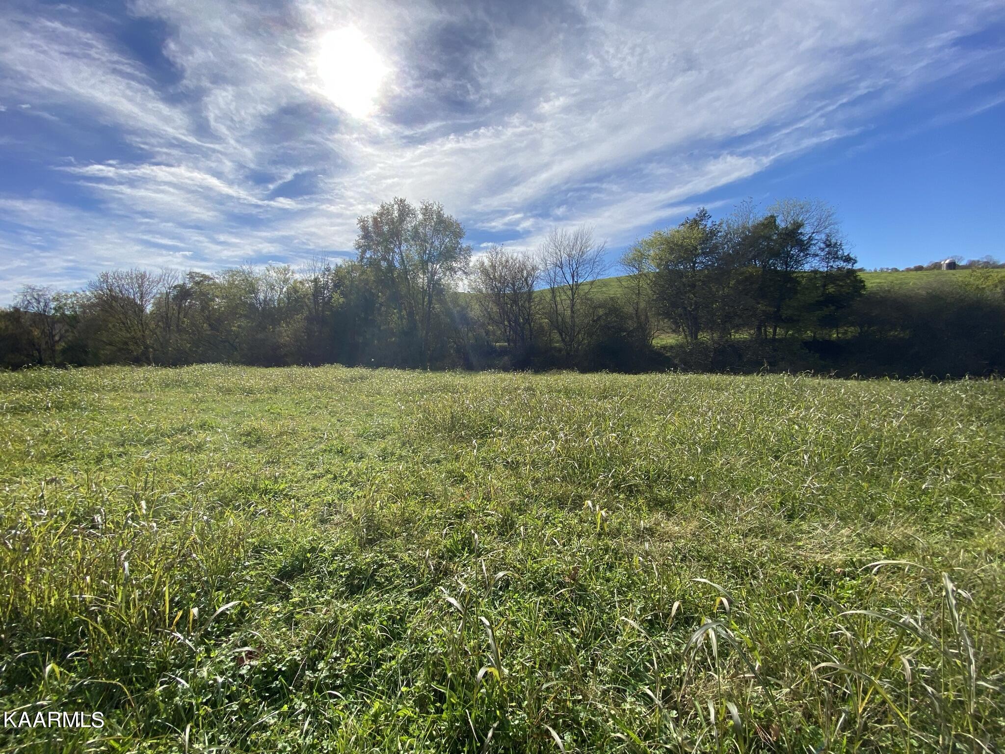 311 Ross Cemetery Road Rocky Top, TN 37769 - Photo 58 of 59 IMG_2398