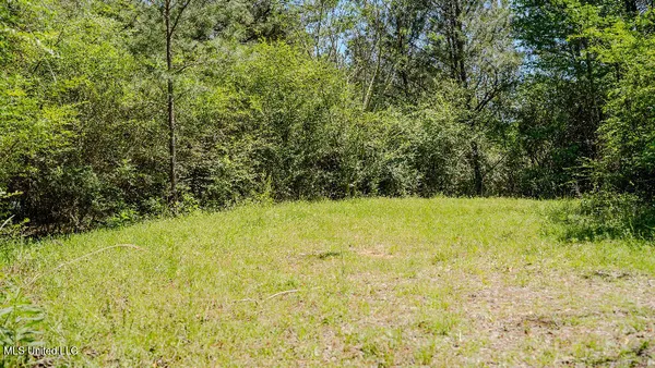 $42,500 | 302 South Scr 130, Raleigh, MS 39153