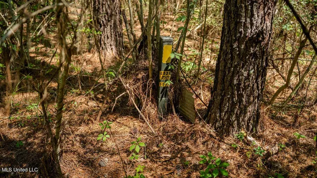 $42,500 | 302 South Scr 130, Raleigh, MS 39153