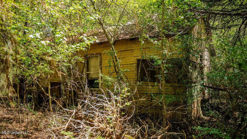302 South Scr 130 Raleigh, MS 39153 - Photo 14 of 19 14