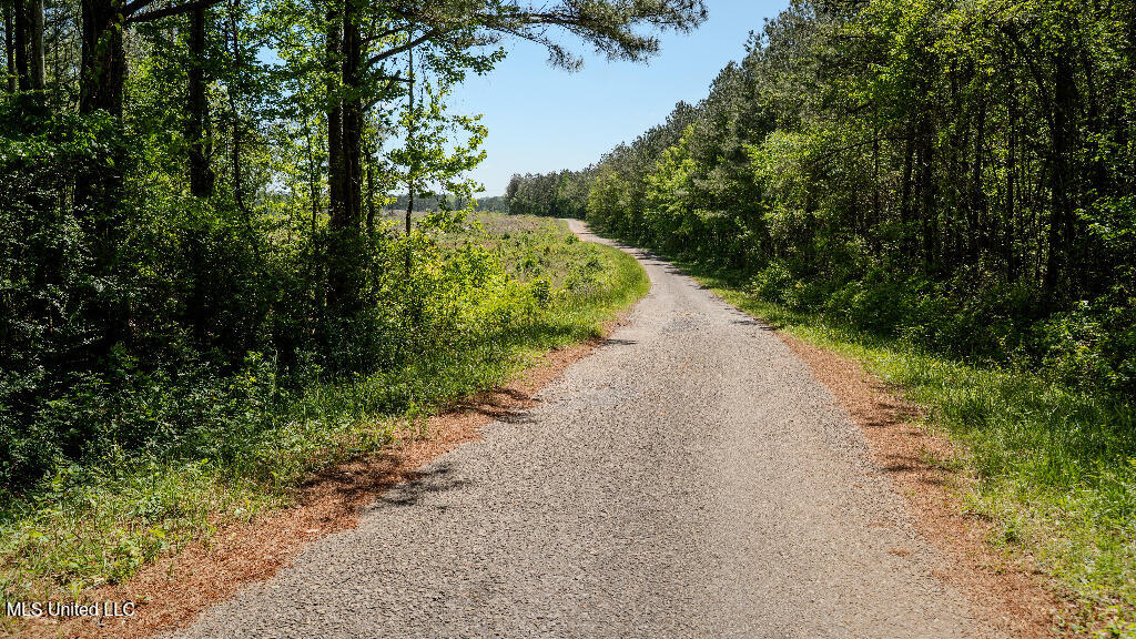 302 South Scr 130 Raleigh, MS 39153 - Photo 15 of 19 15
