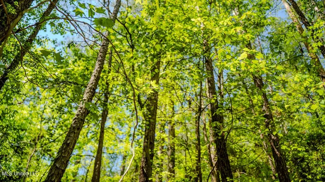 $42,500 | 302 South Scr 130, Raleigh, MS 39153