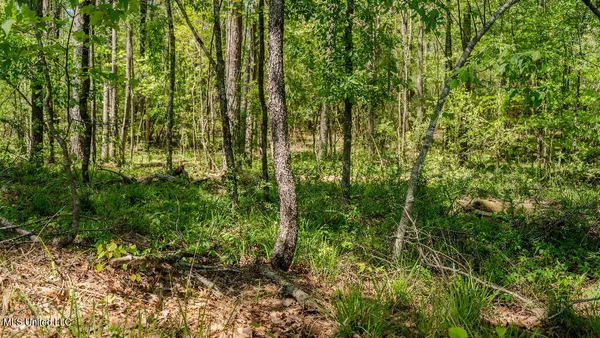 $42,500 | 302 South Scr 130, Raleigh, MS 39153