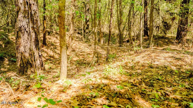 $42,500 | 302 South Scr 130, Raleigh, MS 39153