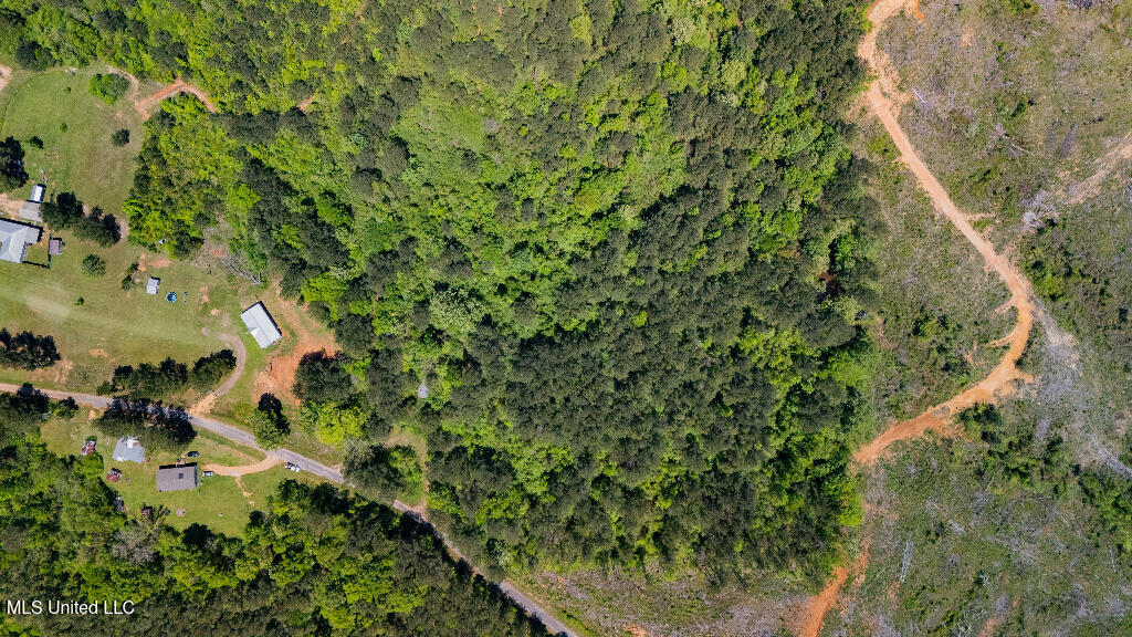 302 South Scr 130 Raleigh, MS 39153 - Photo 19 of 19 19