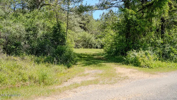 $42,500 | 302 South Scr 130, Raleigh, MS 39153