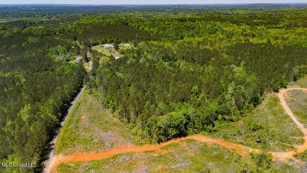 302 South Scr 130 Raleigh, MS 39153 - Photo 3 of 19 02