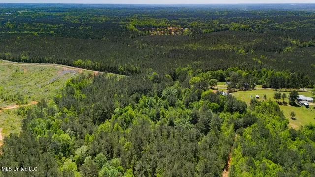 $42,500 | 302 South Scr 130, Raleigh, MS 39153