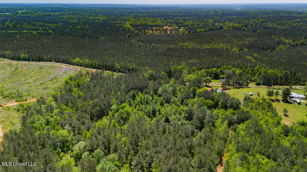 302 South Scr 130 Raleigh, MS 39153 - Photo 5 of 19 04