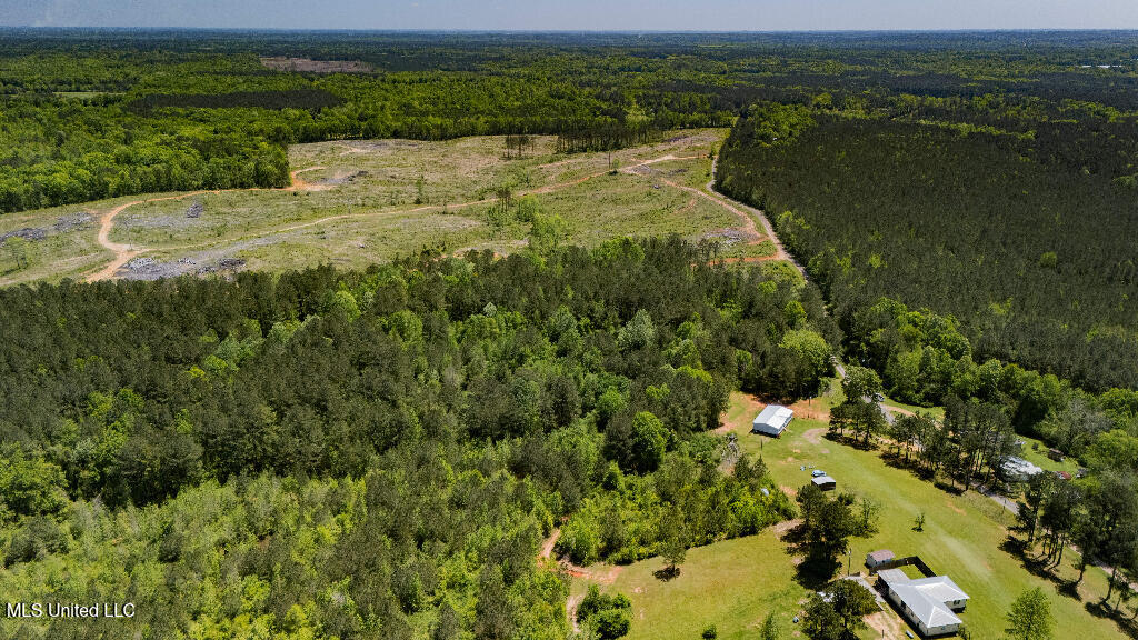 302 South Scr 130 Raleigh, MS 39153 - Photo 6 of 19 05