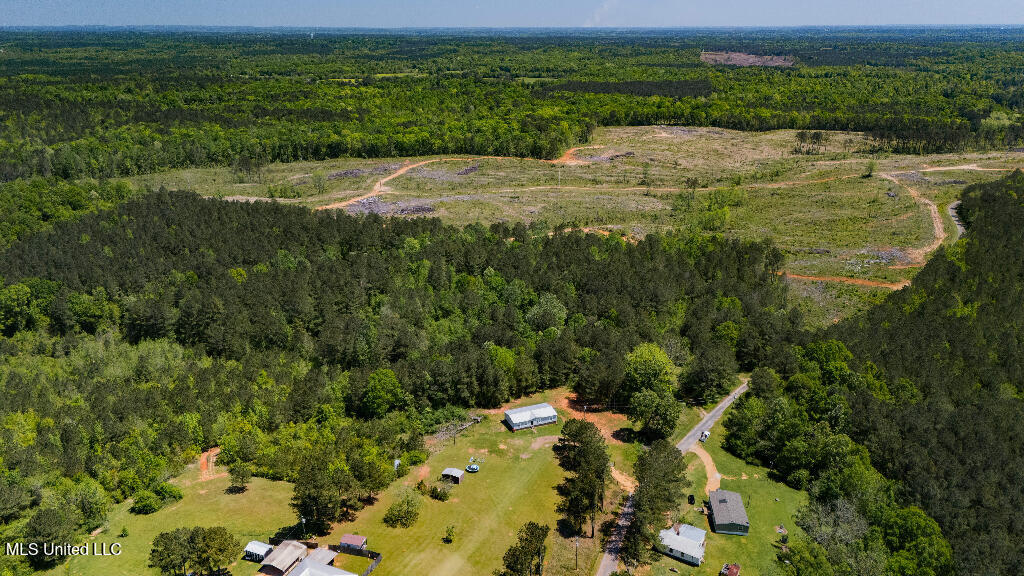 302 South Scr 130 Raleigh, MS 39153 - Photo 7 of 19 06