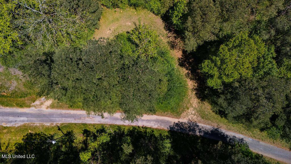 302 South Scr 130 Raleigh, MS 39153 - Photo 8 of 19 07