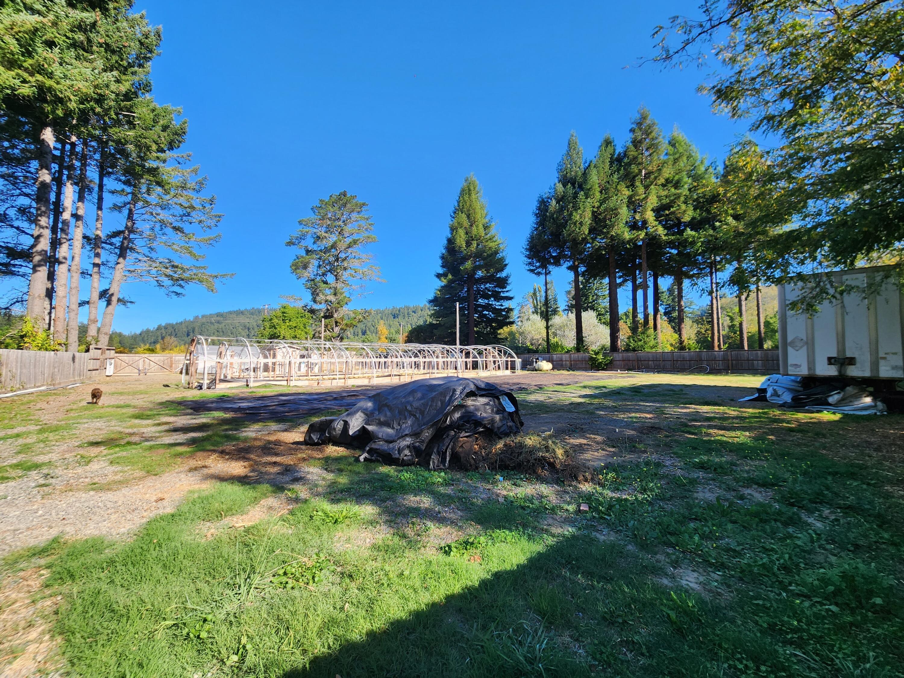 679 Bout Scout Road Myers Flat, CA 95554 - Photo 13 of 20