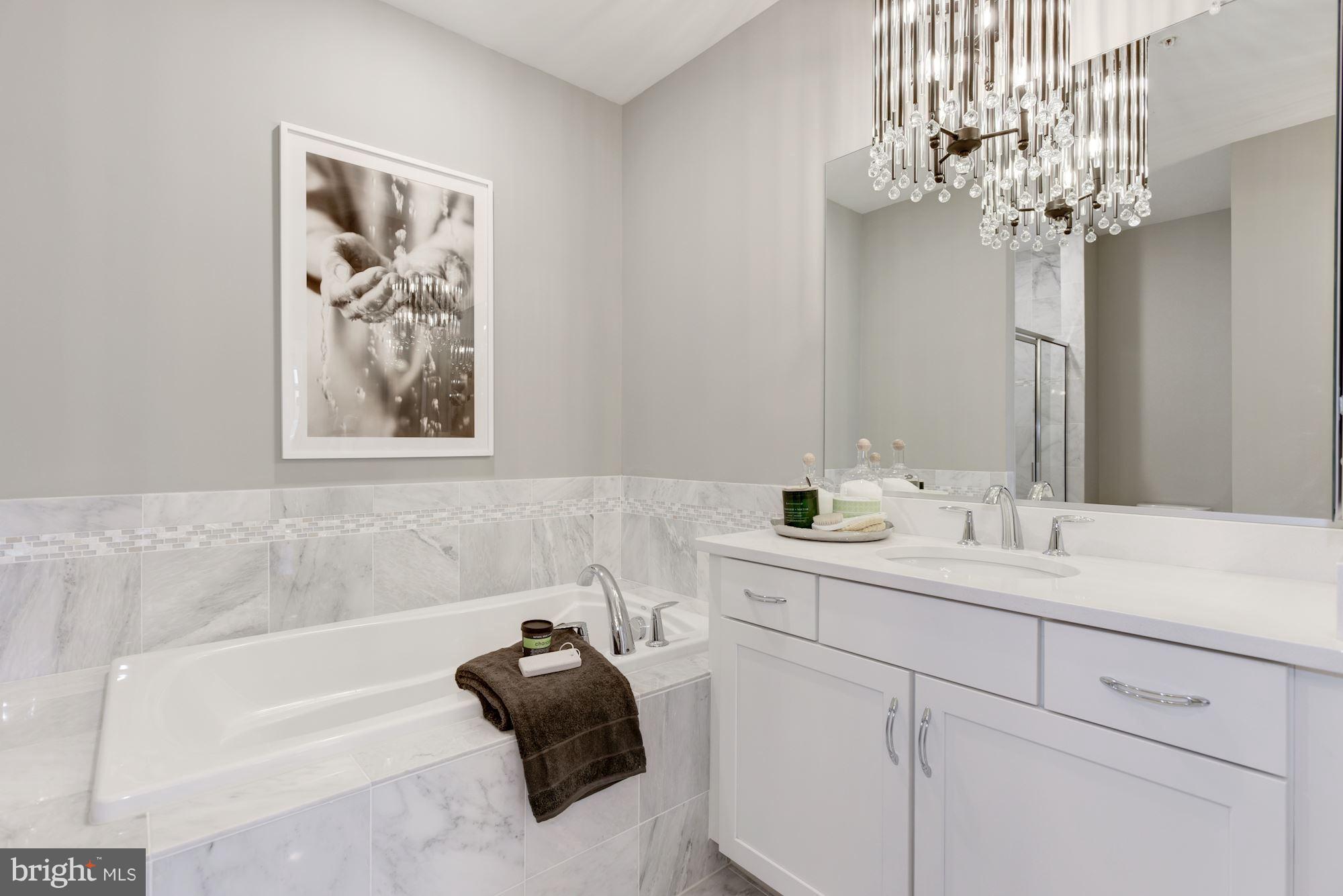 1012 Ribbon Limestone Terrace Southeast Leesburg, VA 20175 - Photo 18 of 24 Bath