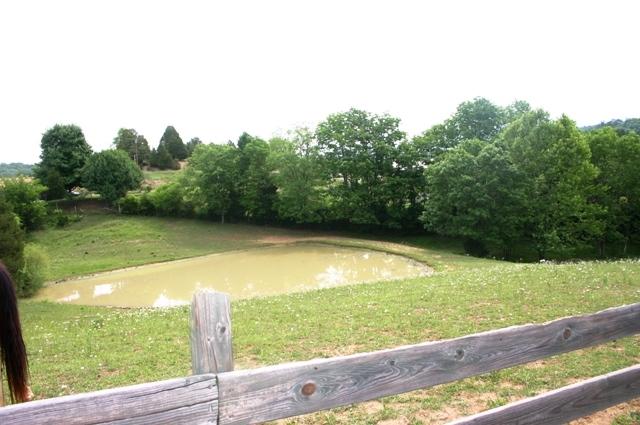 1120 Holbert Cemetery Road Sevierville, TN 37876 - Photo 7 of 35 pond