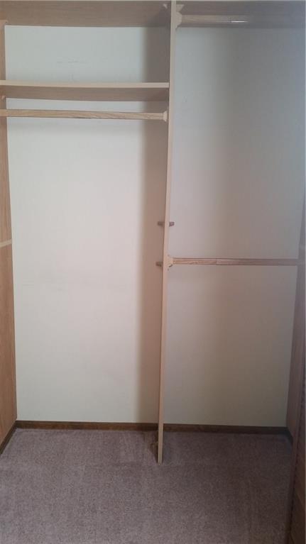 209 Eighmy Road Pittsburgh, PA 15239 - Photo 14 of 23 Deep Closets