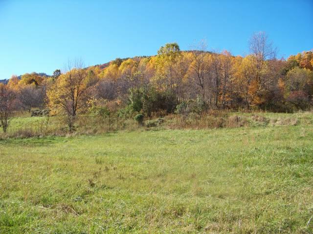 6273 Newport Road Catawba, VA 24070 - Photo 2 of 4 View 2