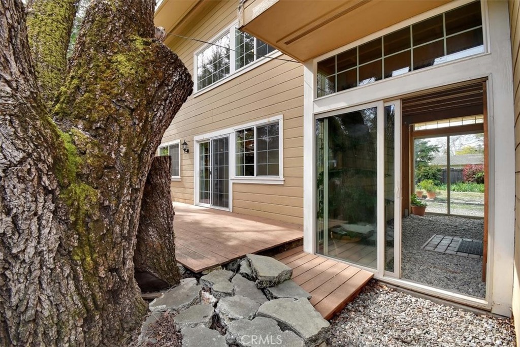 1631 Salem Street Chico, CA 95928 - Photo 32 of 71 a view of backyard with large windows and a large tree
