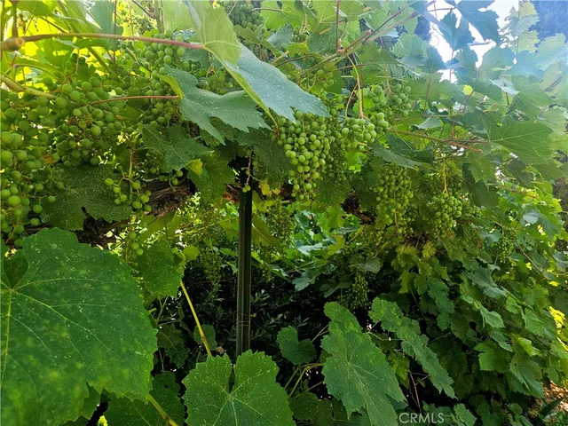 $625,000 | 1631 Salem Street, Chico, CA 95928