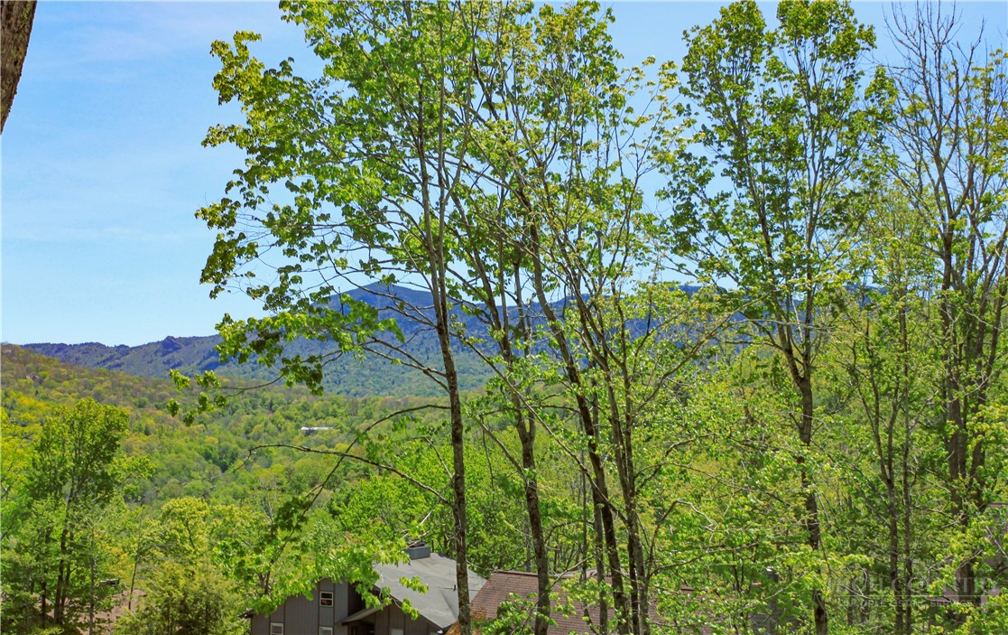 315 Timber Ridge Road, Unit E14 Sugar Mountain, NC 28604 - Photo 21 of 25