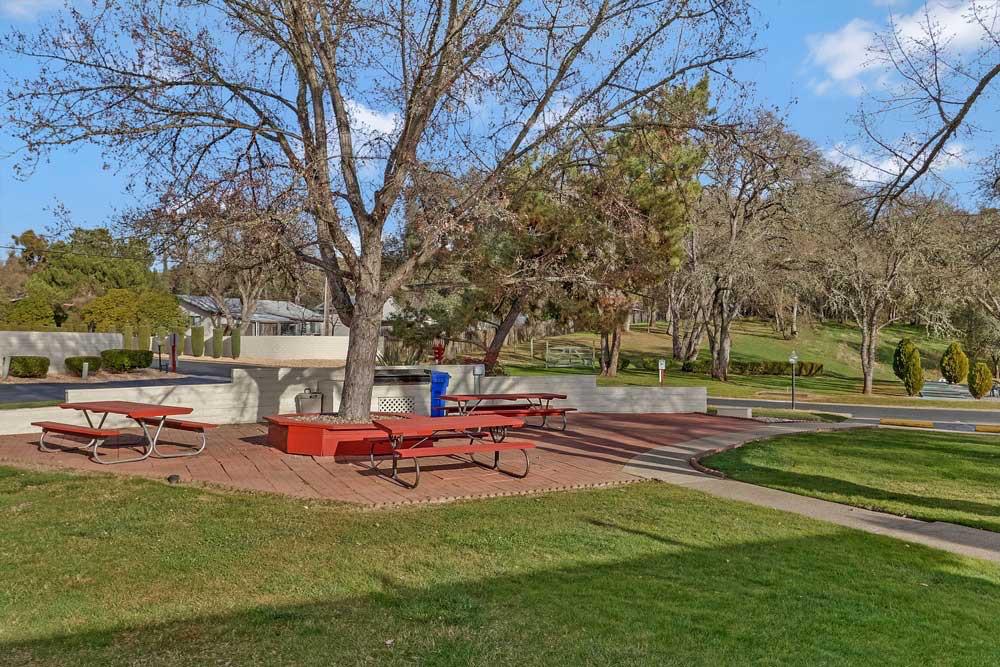 1330 Calaveritas Road, Unit 25 San Andreas, CA 95249 - Photo 42 of 43 a bench is sitting in the middle of a yard