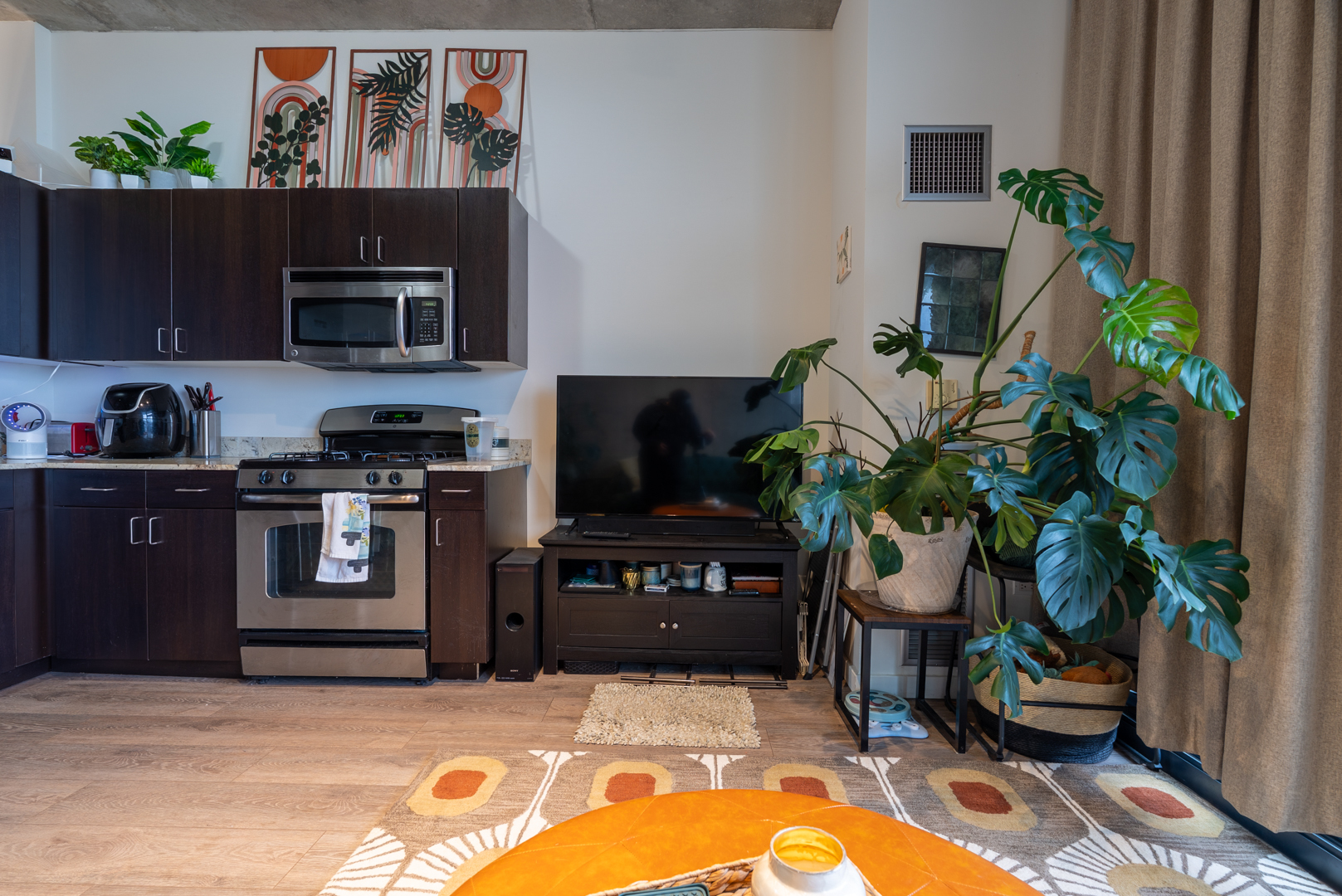 235 West Van Buren Street, Unit 1809 Chicago, IL 60607 - Photo 13 of 17 a kitchen with stainless steel appliances a stove a microwave and a potted plant